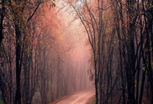 与中国继续紧密合作——专访世界田联主席塞巴斯蒂安·科.