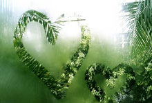 国际足联年终排名 国足位居第90创近10年新低.