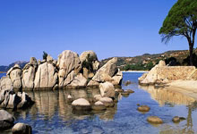 孙杨禁赛后的泪水与中国体育明星困境_舆论_体育界_瞬间.